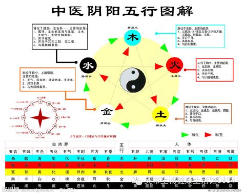 五行相生相剋關係|五行相剋一目了然：木土水火金，相生相剋口訣記住它！